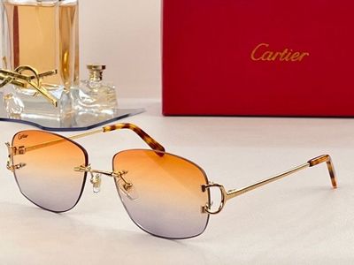 Cartier Sunglasses 763